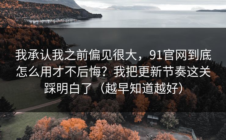 我承认我之前偏见很大，91官网到底怎么用才不后悔？我把更新节奏这关踩明白了（越早知道越好）
