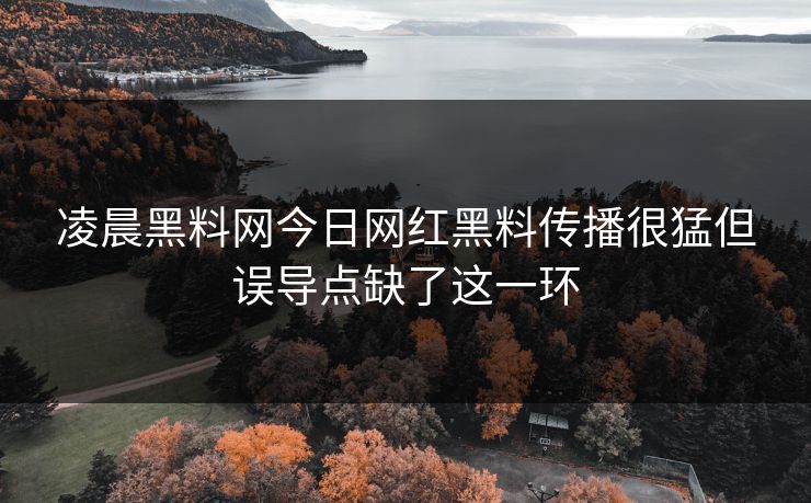 凌晨黑料网今日网红黑料传播很猛但误导点缺了这一环