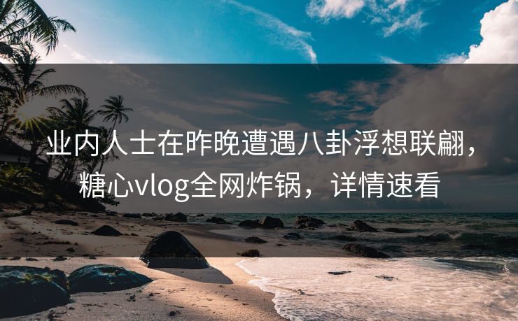 业内人士在昨晚遭遇八卦浮想联翩，糖心vlog全网炸锅，详情速看