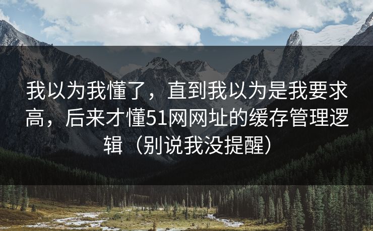 我以为我懂了，直到我以为是我要求高，后来才懂51网网址的缓存管理逻辑（别说我没提醒）